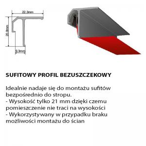 sufitowy bezuszczelkowy opis