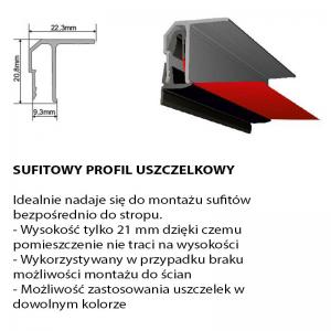 sufitowy uszczelkowy opis