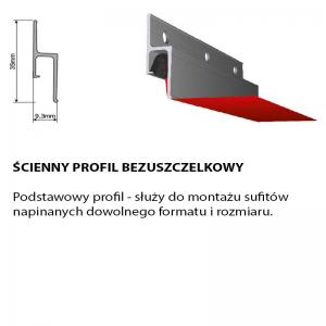 ścienny bezuszczelkowy opis